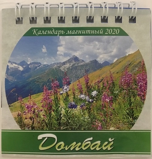 Refrigerator Calendar - 2020 - Dombai Futuro - Cover