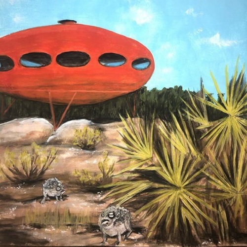 Desert Rain Frogs - Erin Workman